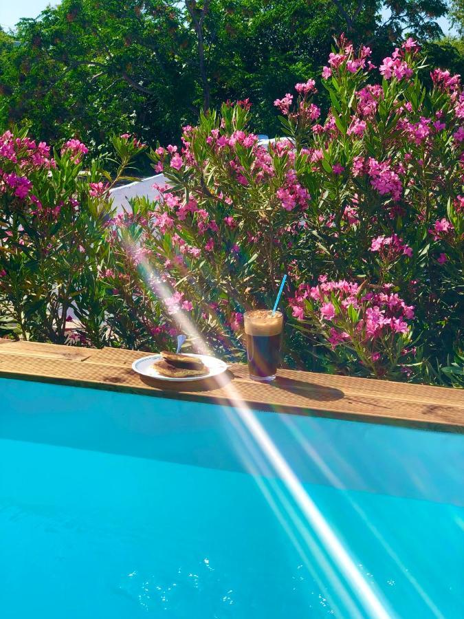 The Summer Pink House ラクハニア エクステリア 写真