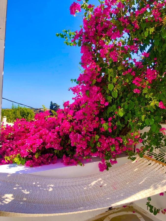 The Summer Pink House ラクハニア エクステリア 写真